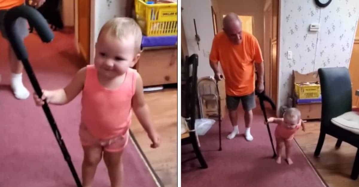 Questa adorabile bambina imita il suo amato nonno quando cammina curvo con il suo bastone