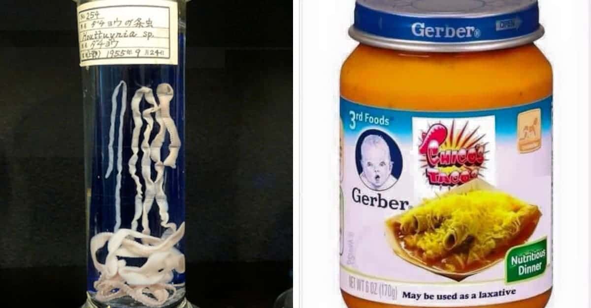 10 diete dal passato totalmente da dimenticate