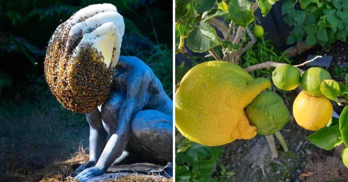 20 Foto stranamente inquietanti