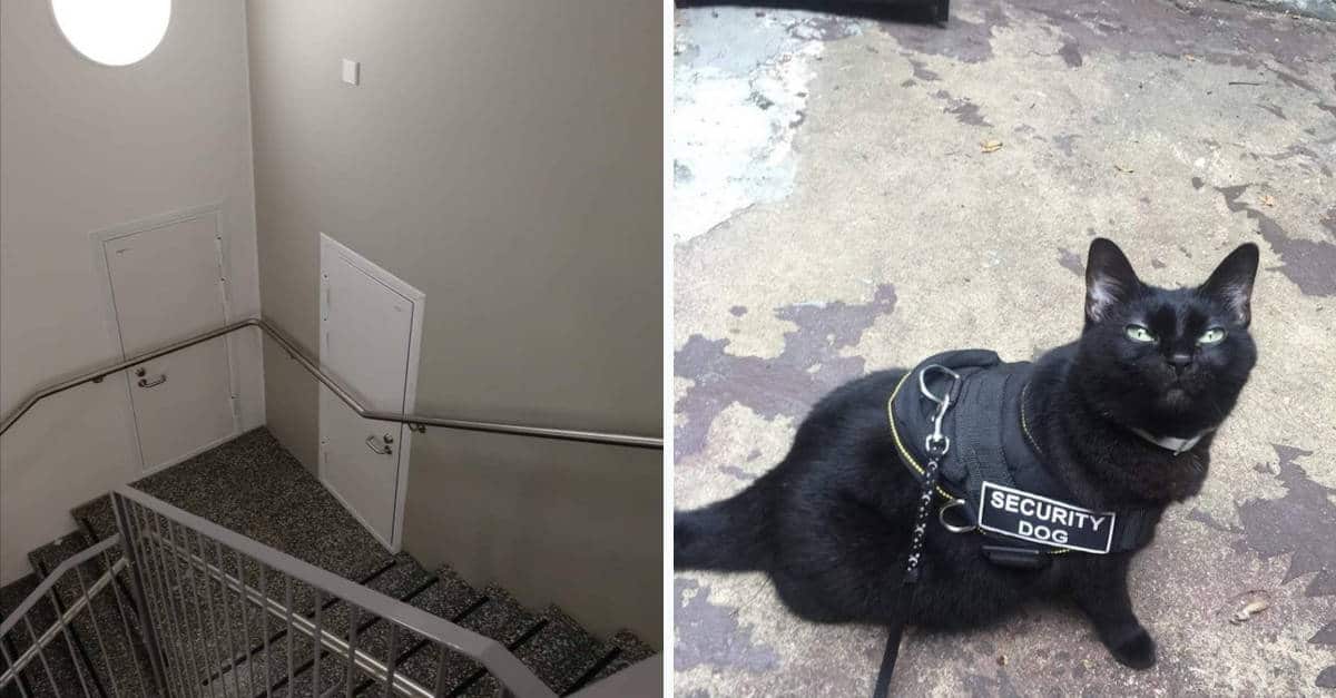 17 Foto di persone che non hanno fatto il loro lavoro al meglio