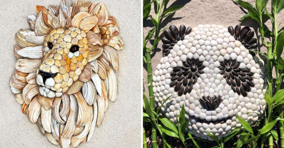Artista crea affascinanti ritratti di animali con conchiglie trovate sulla spiaggia: 17 Foto
