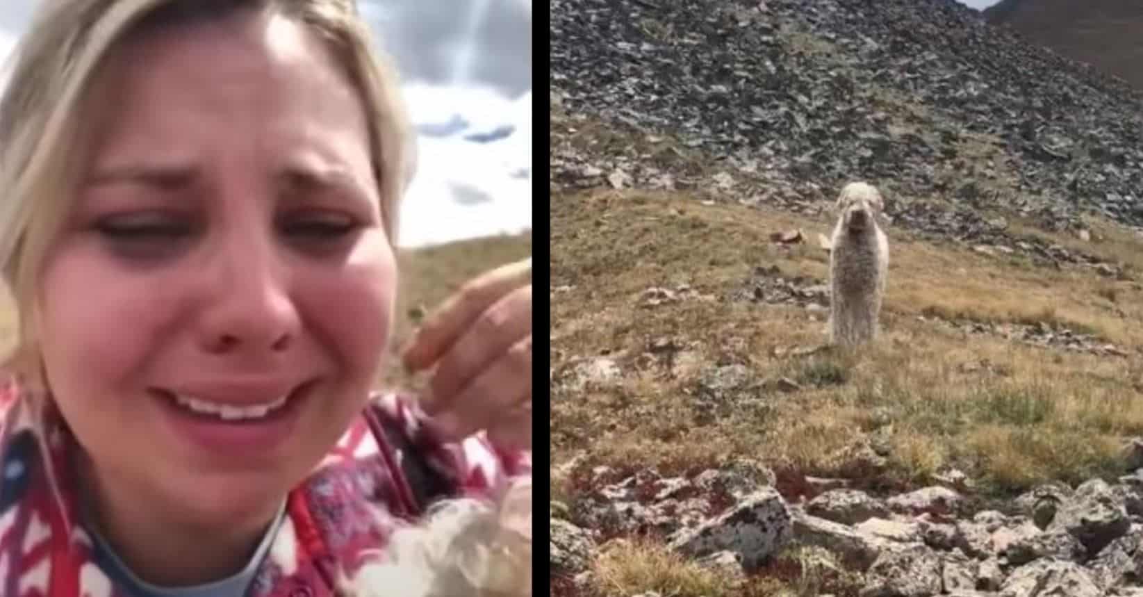 La donna si riunisce in lacrime con il cane scomparso da 19 giorni dopo un incidente