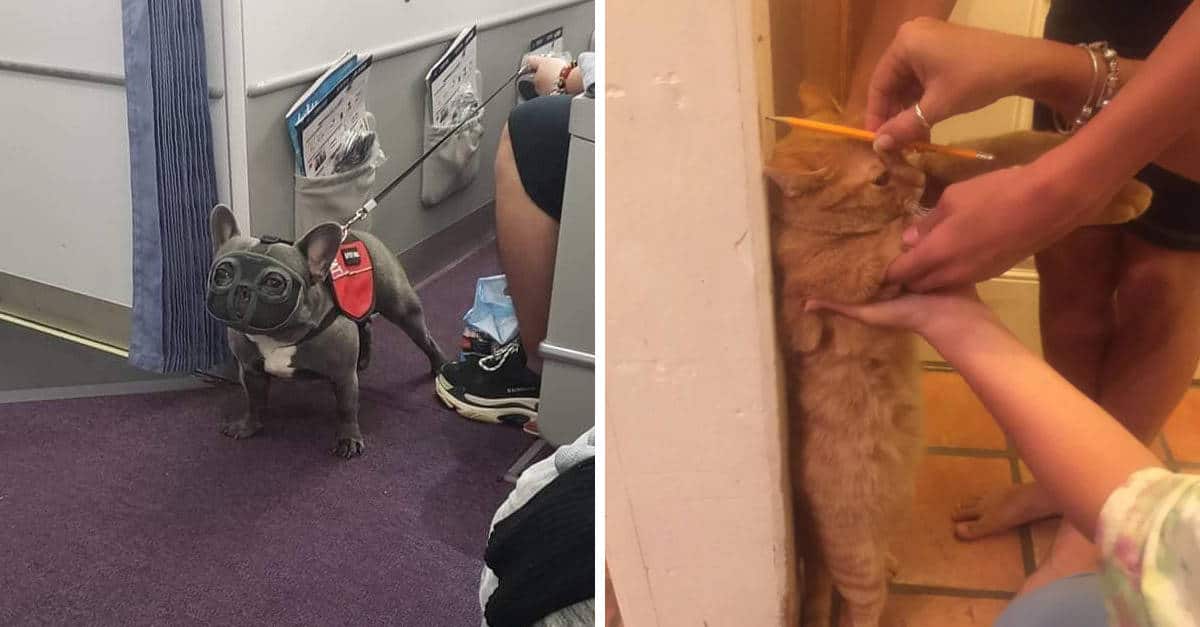 20 foto che mostrano la gioia di vivere