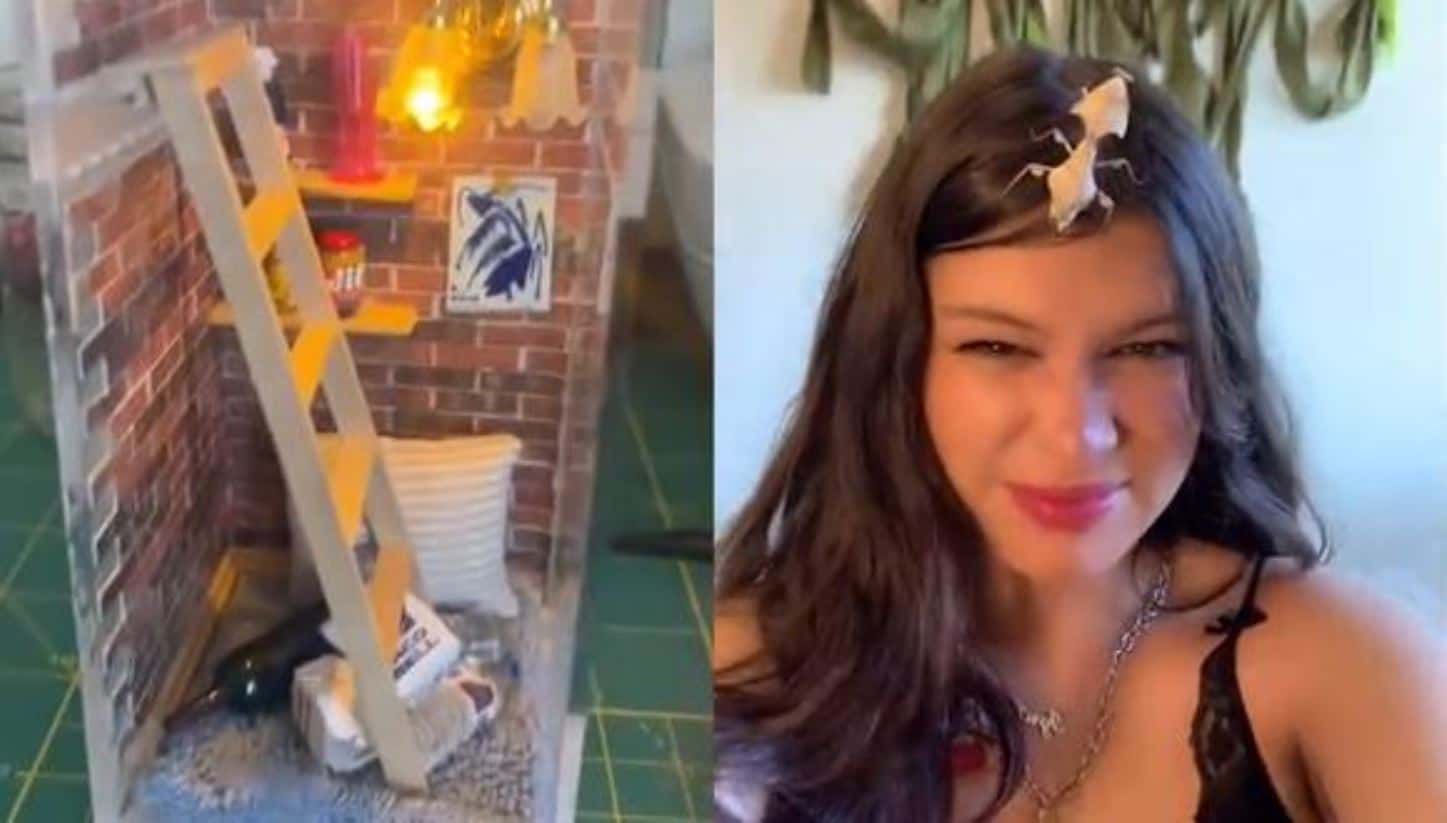 Una giovane donna costruisce una casa in miniatura per le sue mantidi religiose