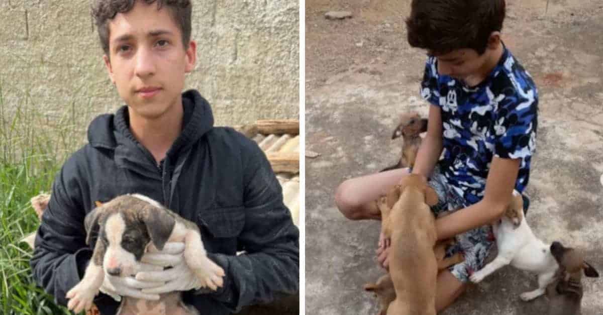 17enne apre un santuario per animali senzatetto