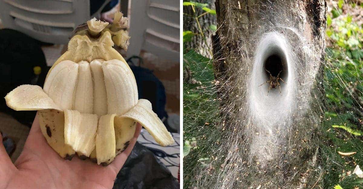 18 Foto che mostrano che l’universo non finisce mai di sorprendere