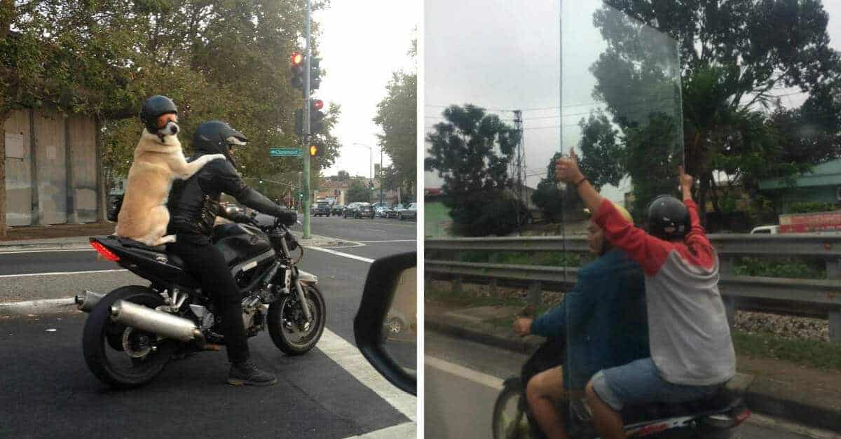 19 Foto di pessimi conducenti che dovrebbero essere banditi dalla strada