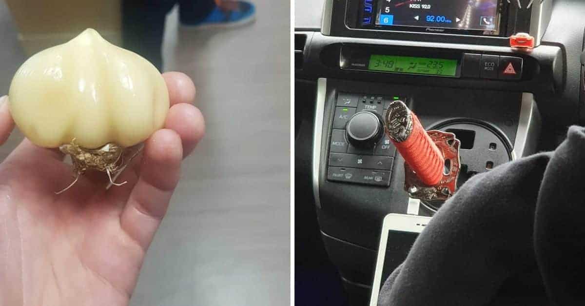 17 foto originali che i loro autori hanno voluto condividere con tutto il mondo