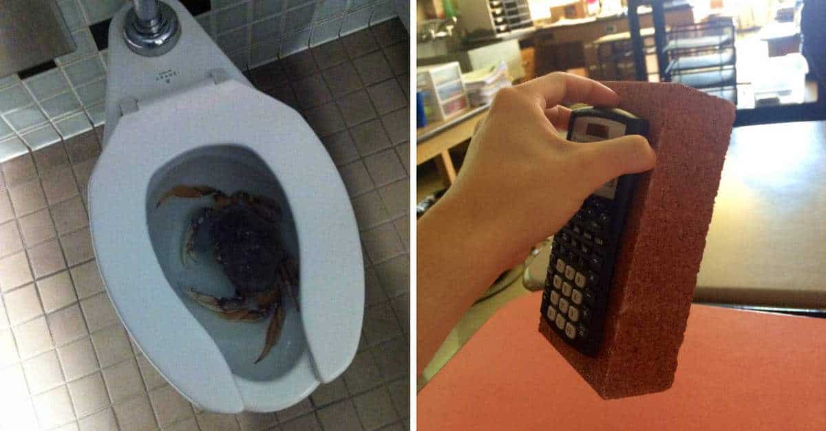 14 Foto di cose pazze che mostrano cosa puo’ accadere a scuola