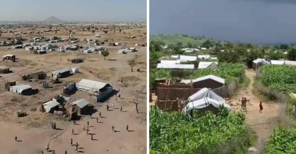 La comunità si unisce e pianta alberi, trasformando il deserto in una foresta piena di vita