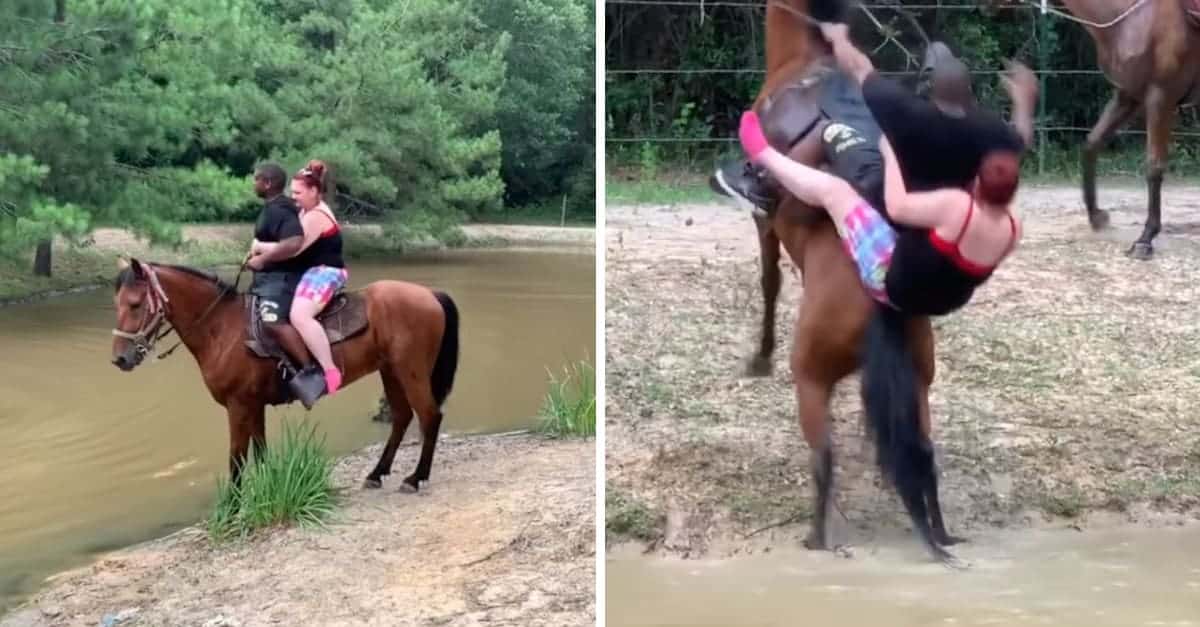 Il cavallo è stremato da questi due turisti seduti in sella e decide di alleggerire il carico