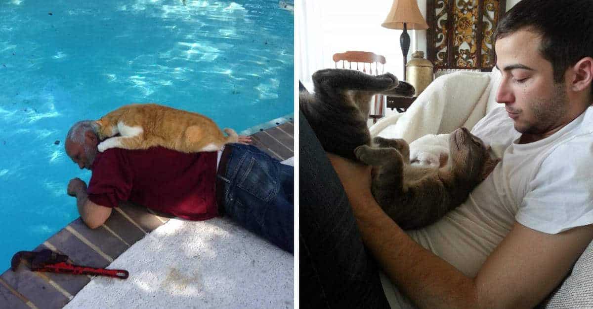 15 adorabili foto di “genitori” di gatti e dei loro amici pelosi