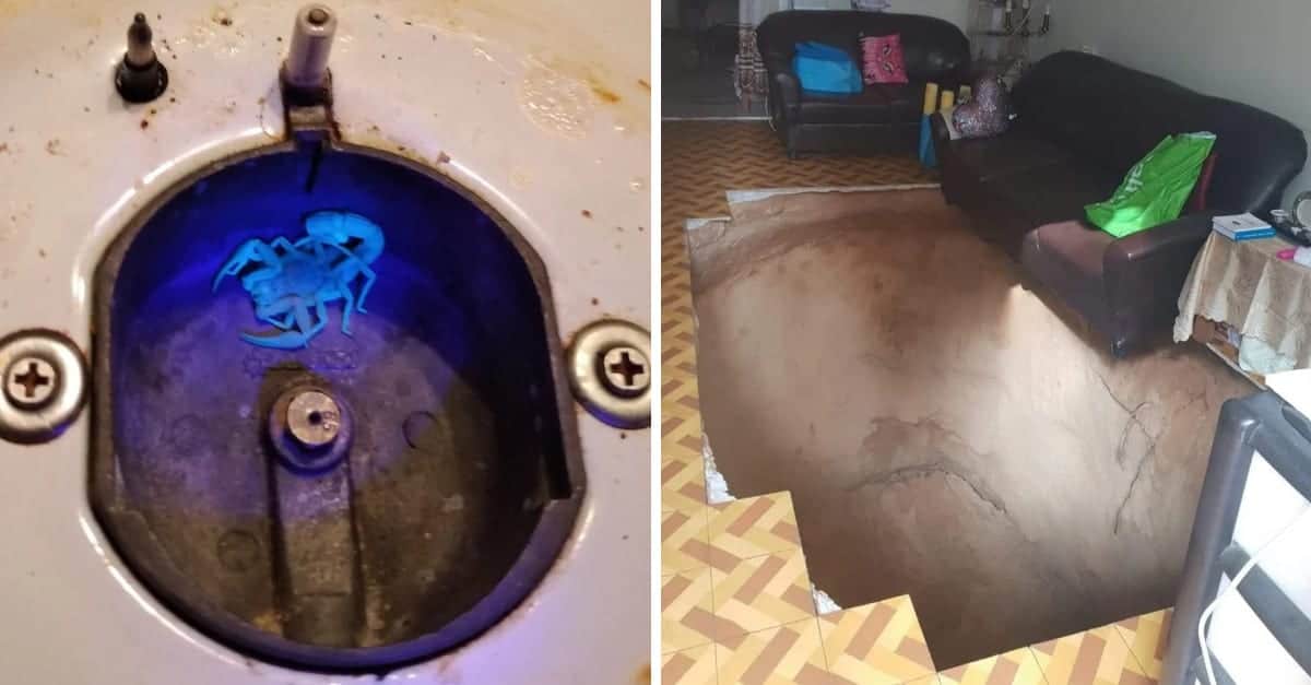 25 persone che hanno fotografato cose che sembrano uscite da un brutto sogno