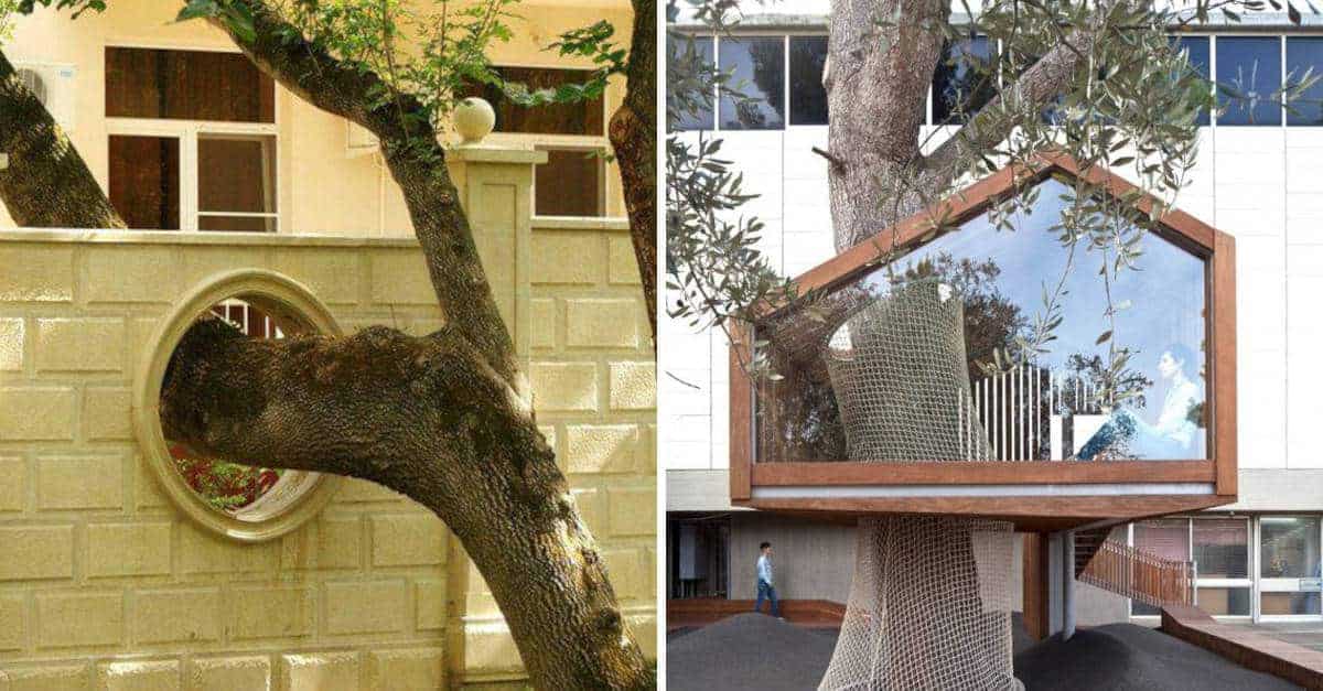 15 foto che mostrano come la natura riesca a risolvere qualsiasi problema