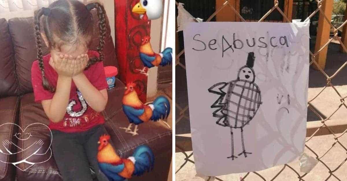 La ragazza perde il suo pollo e, in assenza di foto, lo disegna su un foglio per trovarlo