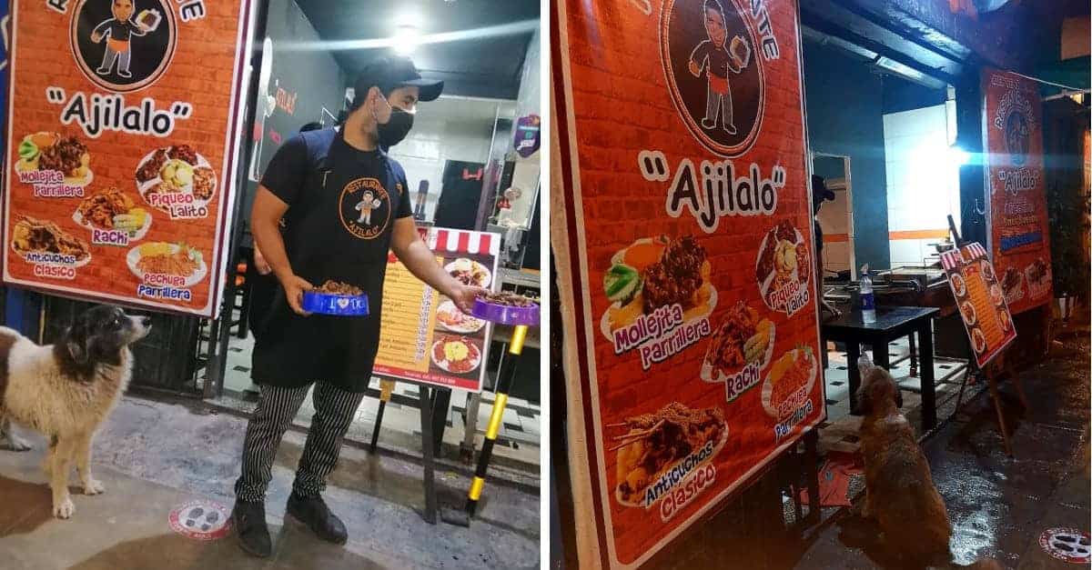 Ristorante conserva gli avanzi di cibo e li serve ai cani randagi