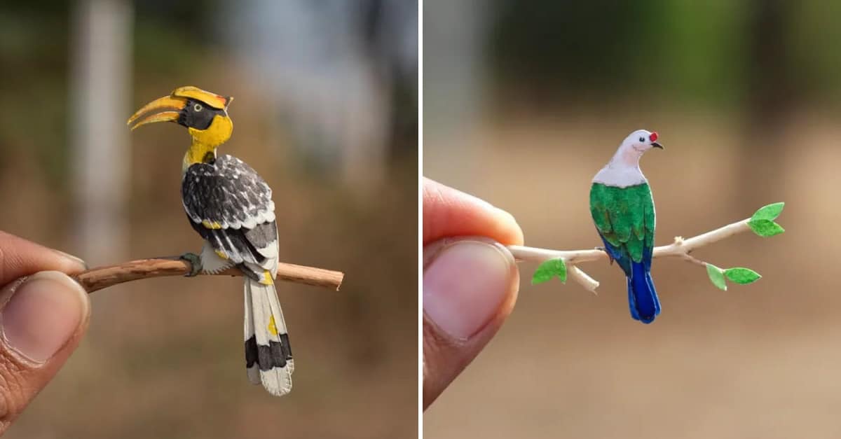 Artisti creano bellissime sculture di uccelli in miniatura tagliate su carta ispirate alla natura: 16 Foto