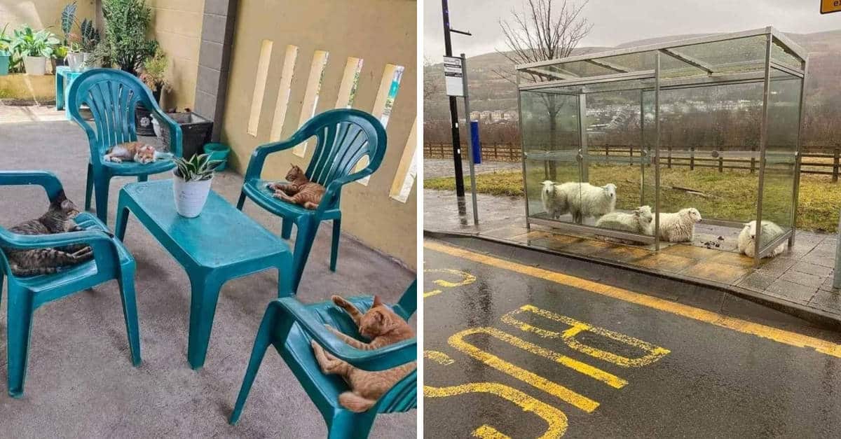 14 esperienze che hanno sorpreso i viaggiatori durante le loro vacanze