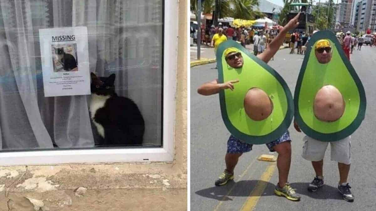 30 foto semplici e divertenti senza contesto che diventano più strane più a lungo le guardi