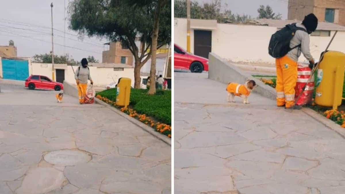 L’addetto alle pulizie porta il suo cane al lavoro ed ha anche la sua uniforme