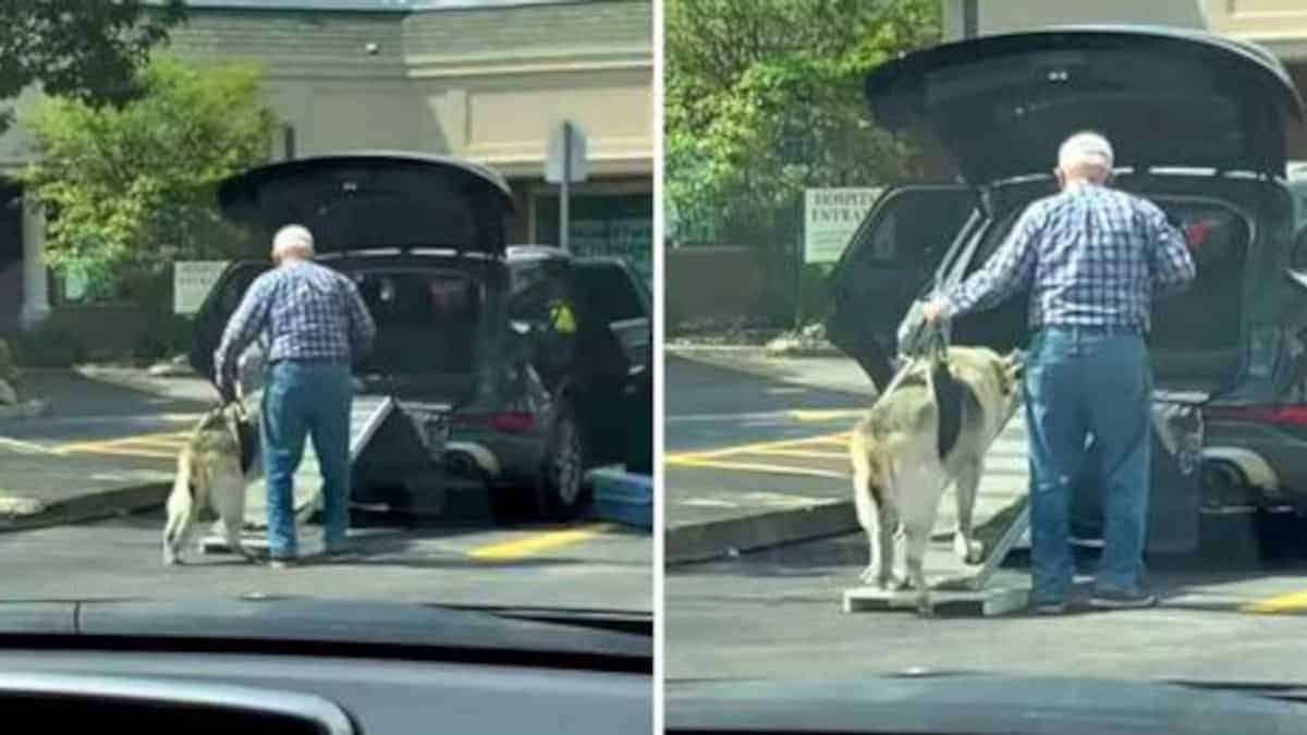 Signore costruisce una rampa in modo che il suo anziano amico possa entrare in auto