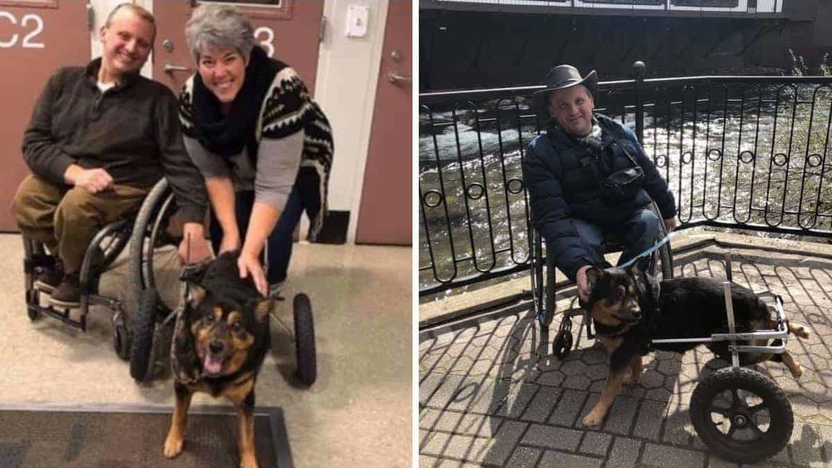 Il cane che è stato restituito 4 volte viene adottato da un uomo nelle stesse condizioni