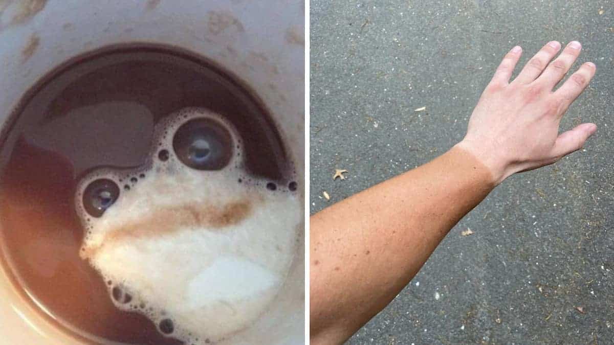 15 foto con didascalie strane che cambiano completamente il modo in cui le vediamo