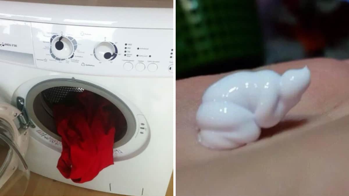 22 Foto di oggetti in cui probabilmente riconoscerai molto altro