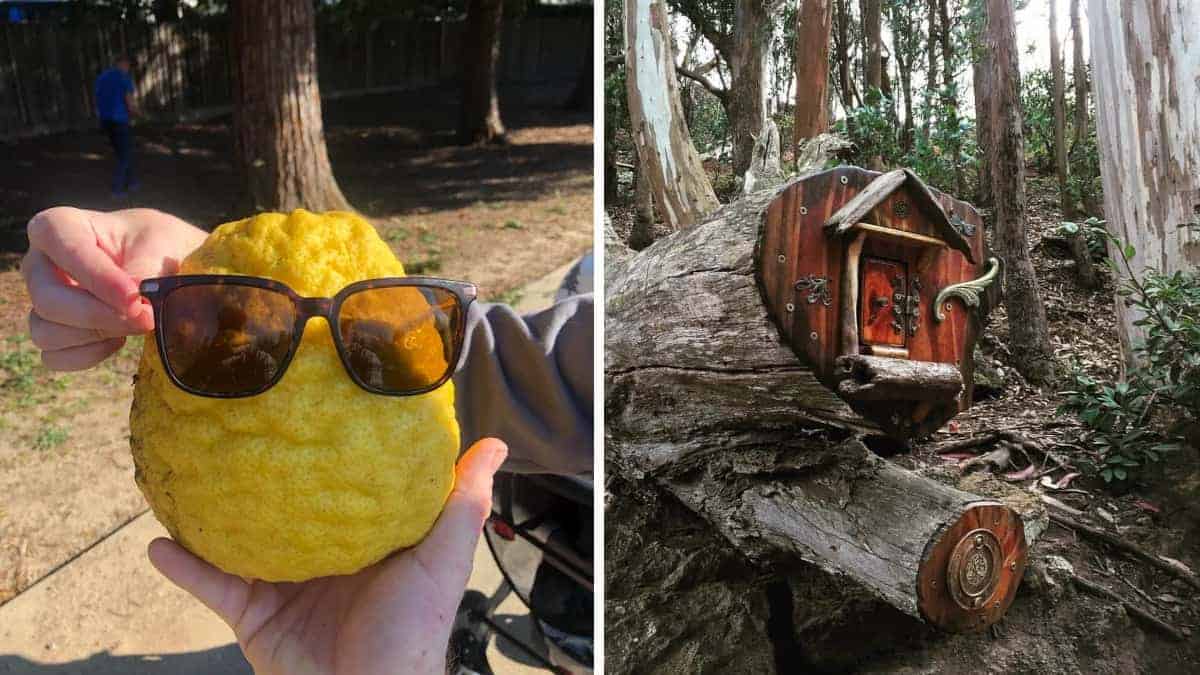 19 foto che illustrano scoperte inaspettate