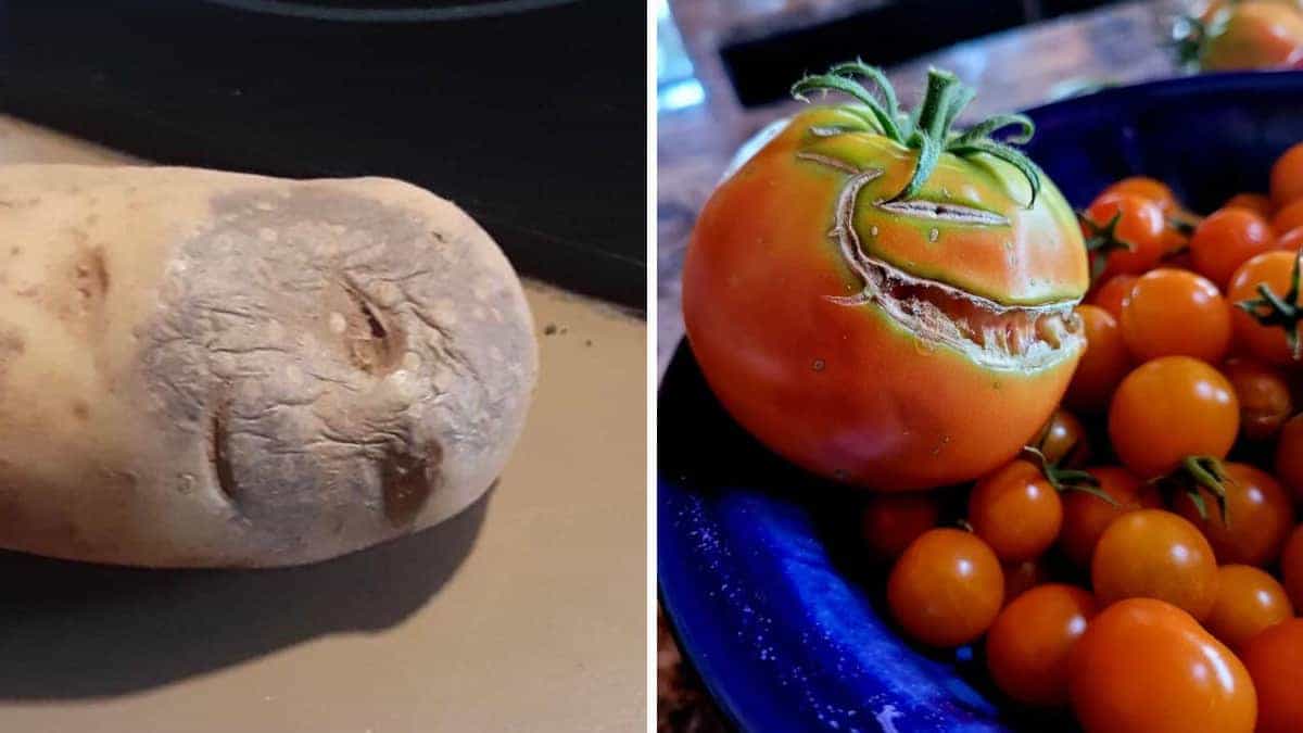 14 oggetti che hanno facce nascoste che renderebbero chiunque insonne