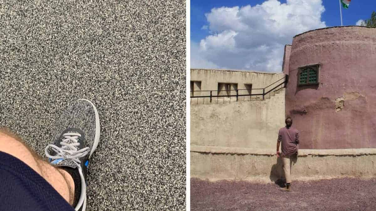 Queste 19 persone vestono in perfetta armonia con l’ambiente che le circonda