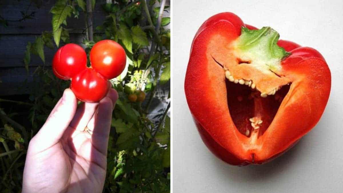 18 frutta e verdura che hanno deciso di giocare brutti scherzi
