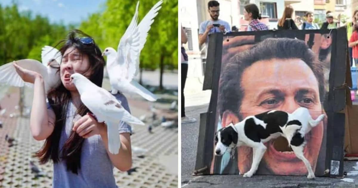 19 foto di momenti divertenti di persone che sono state catturate dalla fotocamera