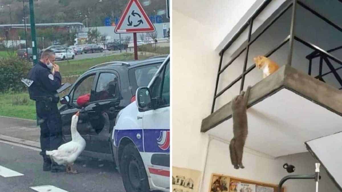 22 foto senza contesto che diventano più strane quanto più le guardi