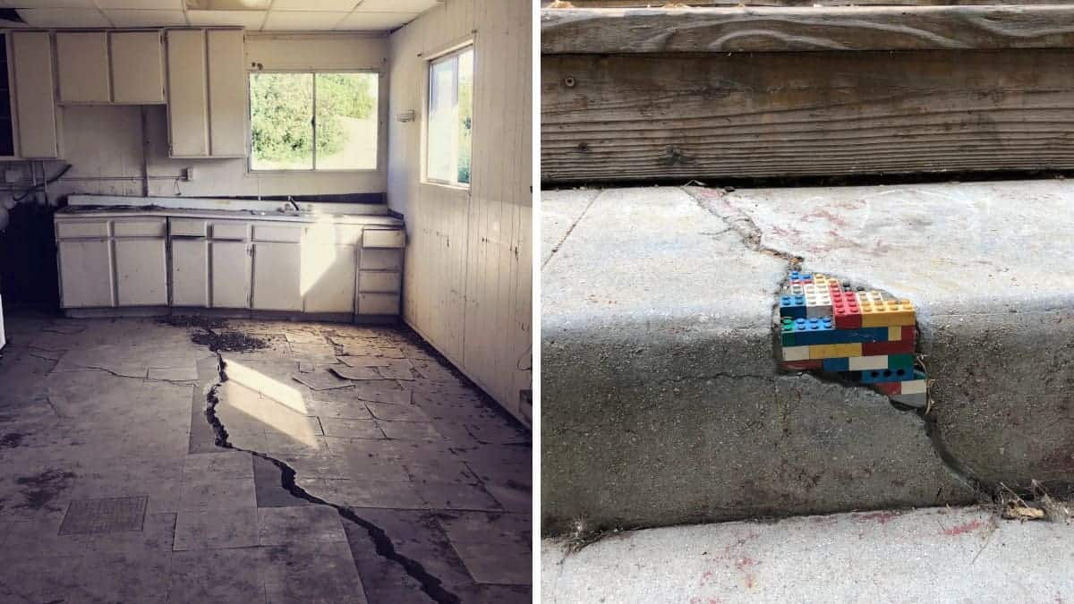 La società di costruzioni mostra le immagini delle peggiori ispezioni: 14 Foto