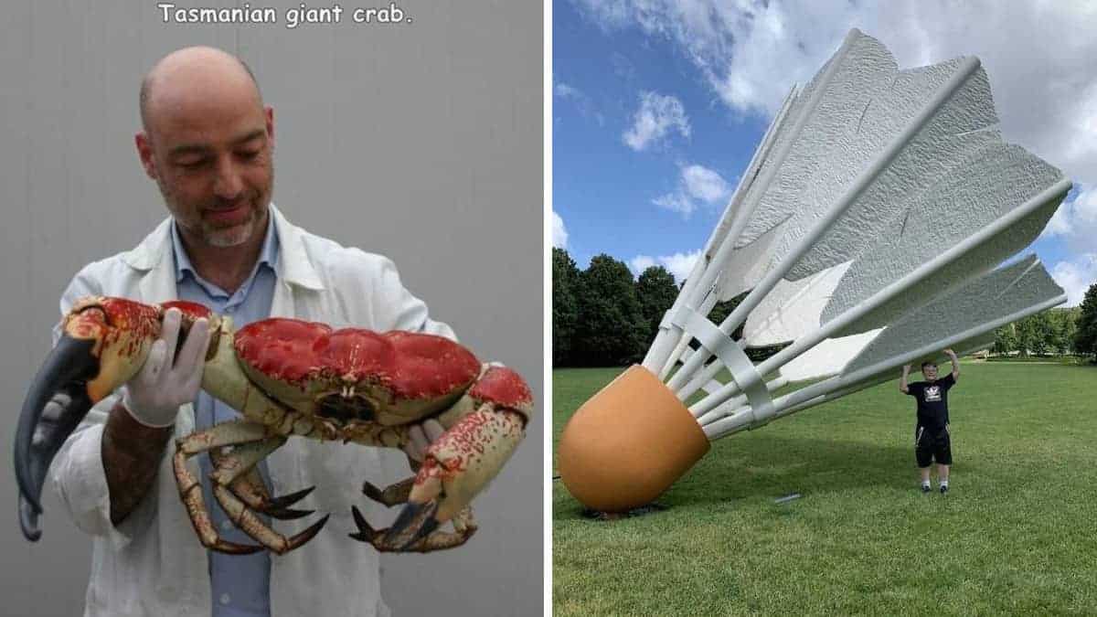 20 foto di versioni giganti di oggetti quotidiani