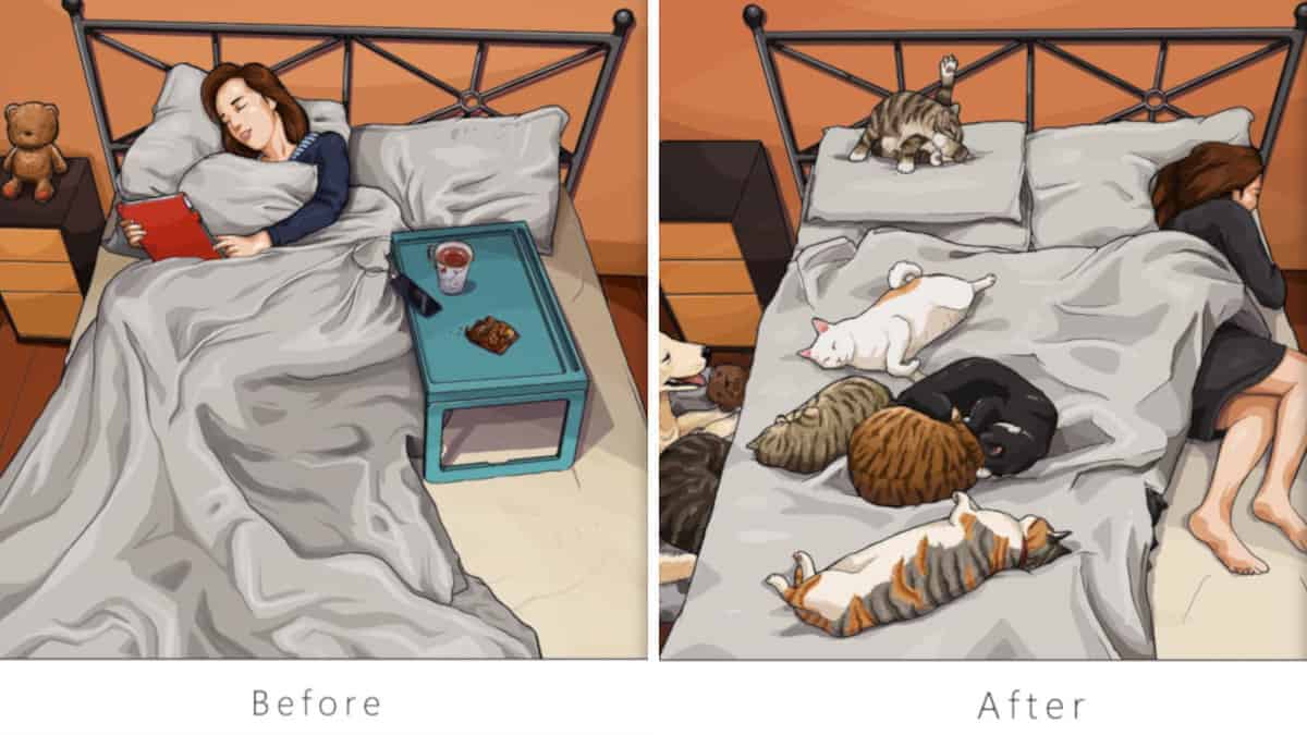 18 illustrazioni che mostrano come cambia la vita dopo aver preso un animale domestico