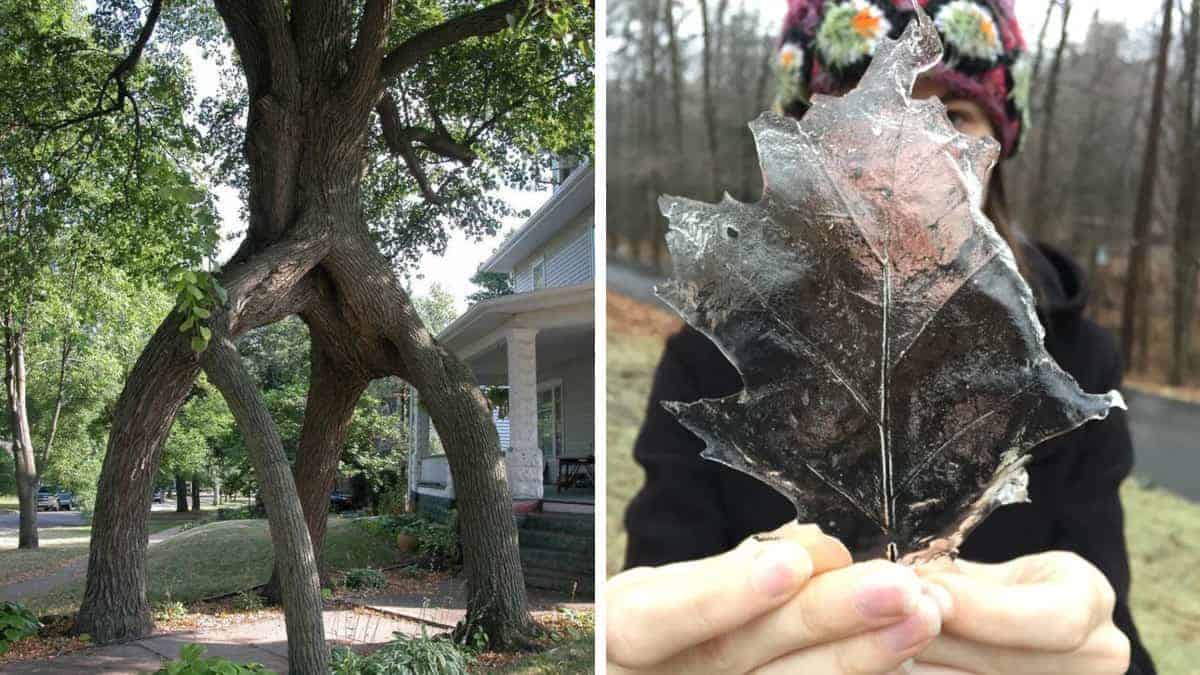 18 foto che rappresentano i misteri della natura