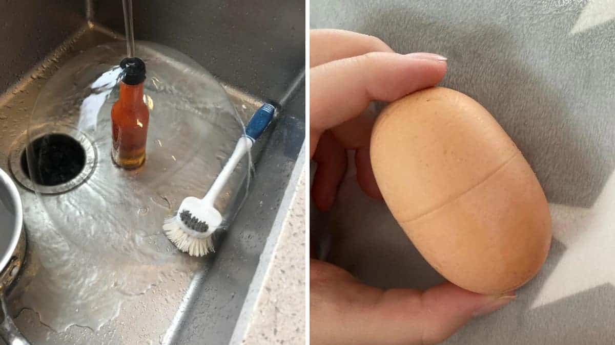 17 foto che richiedono una seconda occhiata
