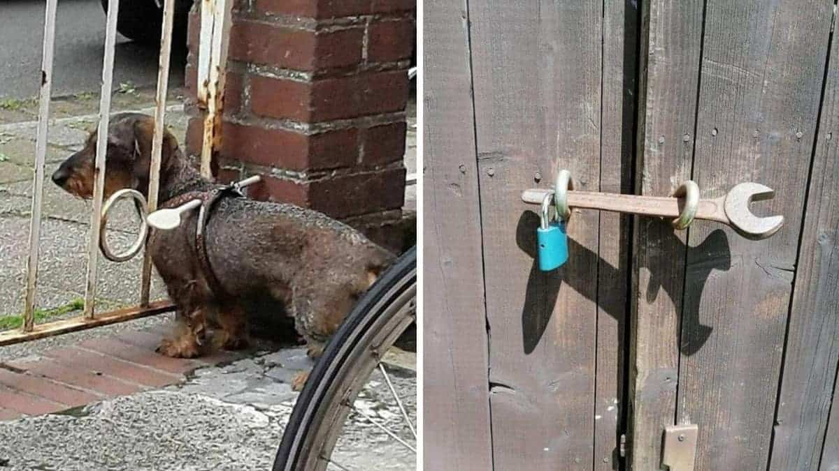 23 soluzioni geniali a vari problemi, che le persone hanno pubblicato su Redneck Engineering Group