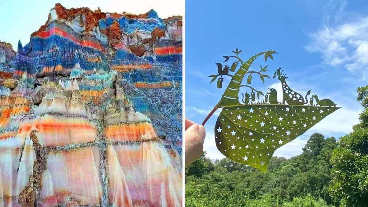 15 fotografie che ti daranno immediatamente piacere visivo