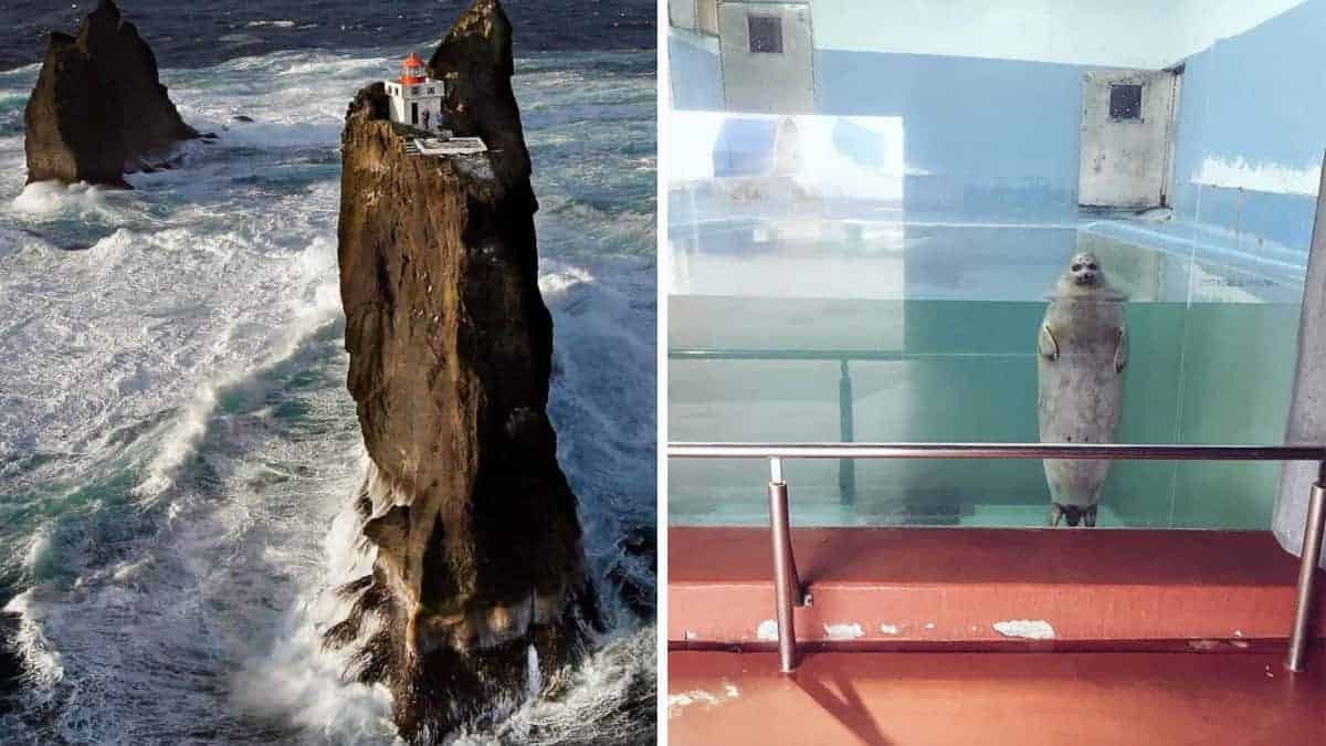 16 immagini “stranamente terrificanti” che dovevano essere condivise