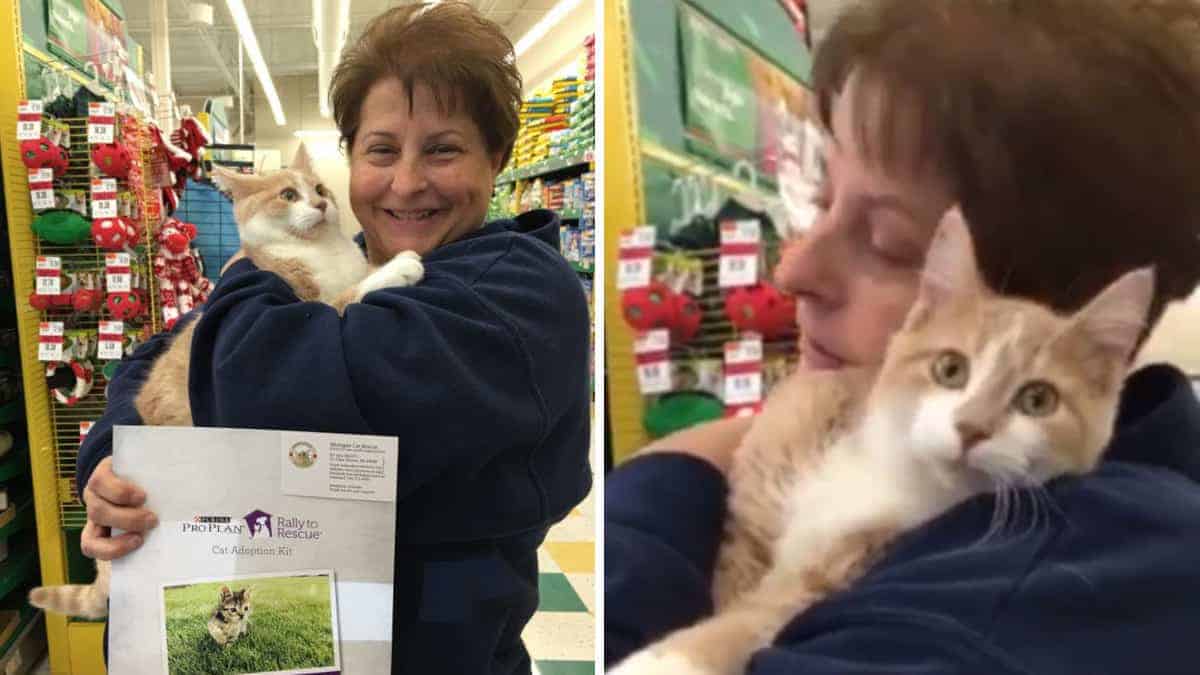 Il gattino abbraccia e ringrazia la sua nuova mamma per averlo adottato