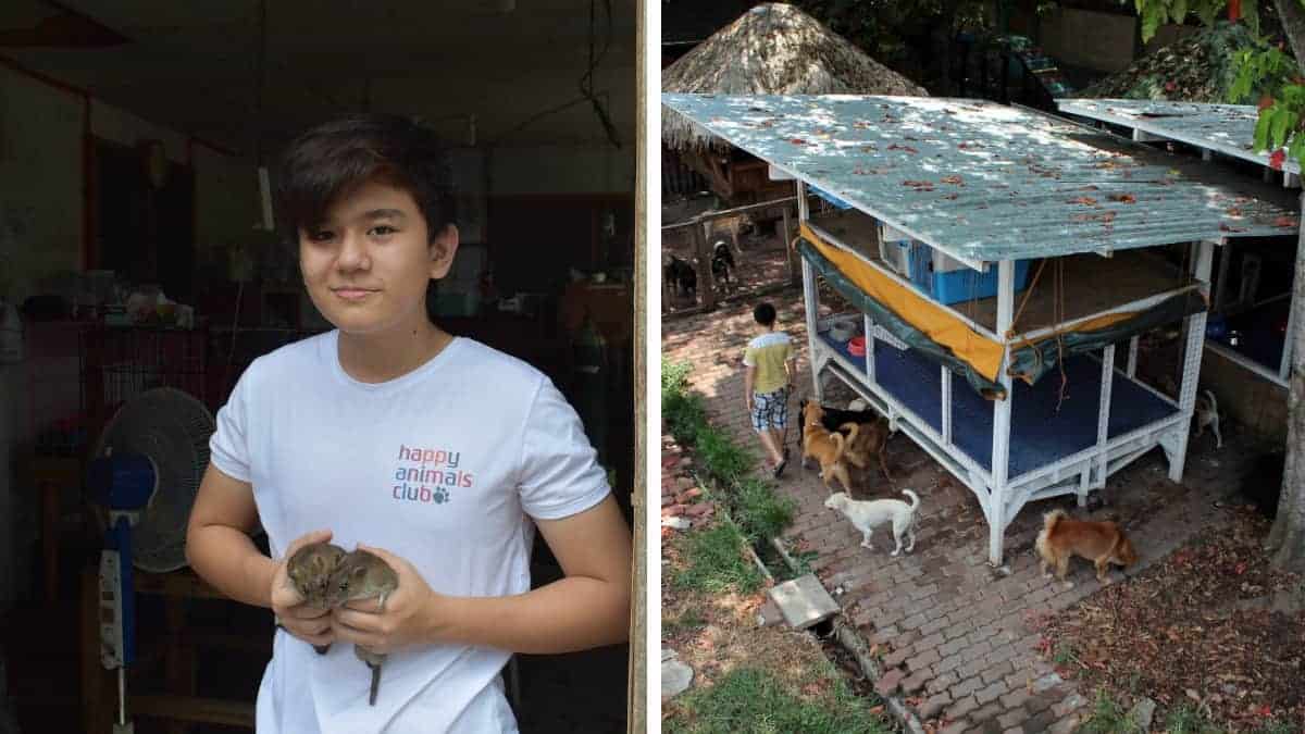 Questo ragazzo sgattaiolava fuori di casa per dar da mangiare ai cani randagi, e ora ha il suo rifugio per animali
