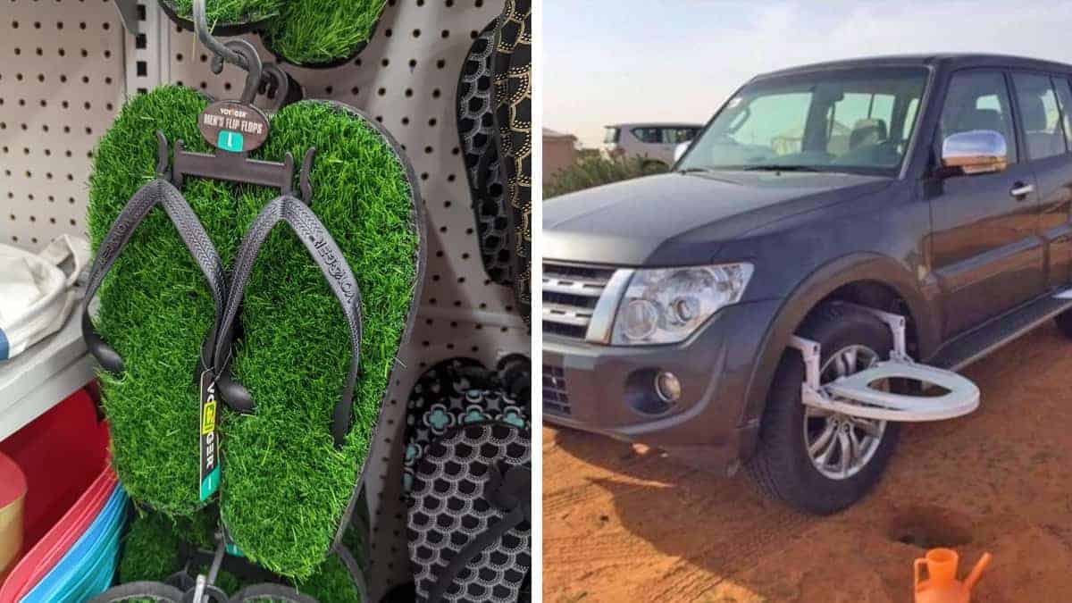 16 Foto di cose stravaganti che le persone hanno trovato per caso