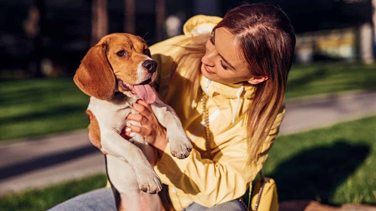 I segni dello zodiaco potrebbero presto prendere un animale domestico