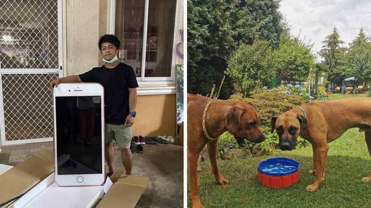 16 immagini divertenti di acquisti online davvero sbagliati