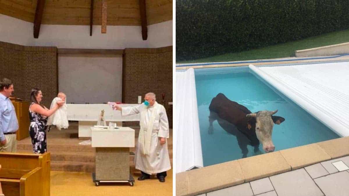 22 foto divertenti e confuse senza contesto, condivise da questo account Twitter