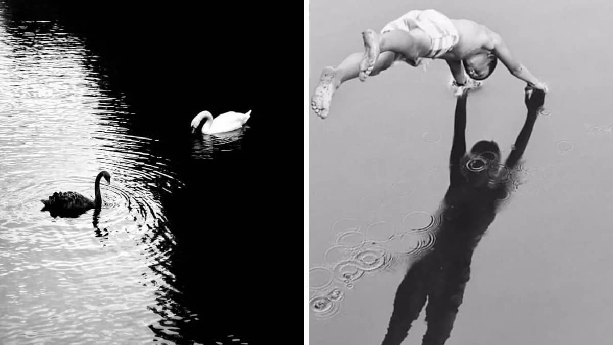 13 incredibili foto scattate per strada, condivise da questo account Instagram