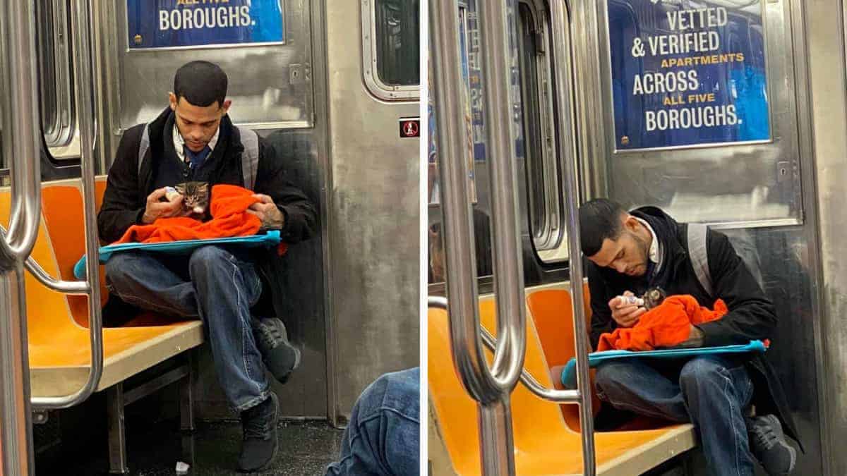 Il giovane viene filmato nella metropolitana mentre dà da mangiare a un gattino con un biberon (Video)